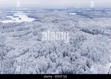 Snowy forest landscape seen from the air with dense trees, Gechingen, Calw district, Germany Stock Photo