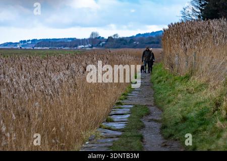 Parkgate, Cheshire, UK - Jan 10, 2024: Walkers and dog approaching on path through reeds and grass Stock Photo
