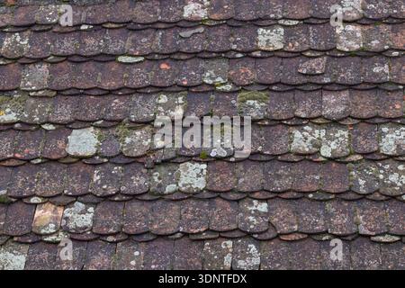 Close-up view of aged roof tiles covered in moss and lichens, exposing weathered textures and a natural patina. Ideal for themes of aging, rustic arch Stock Photo