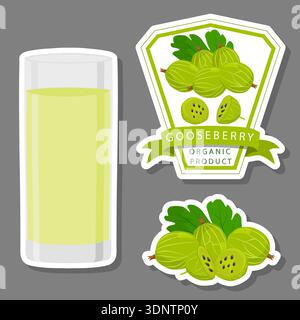 Illustration on theme big set different types juice gooseberry in glass cup, juice gooseberry pattern consisting of collection organic beverage to gla Stock Vector