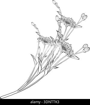 Wildflower branch vector line illustration with thin contours and clear botanical detail, For greeting card, banner, invitation, anniversary, memorial ceremony, funeral tribute and international day  Stock Vector
