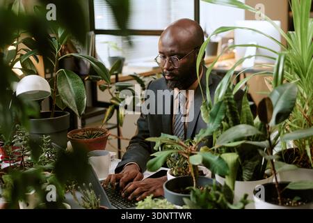 Black Man Working on Laptop Surrounded by Indoor Plants in Office Stock Photo