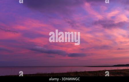 Vibrant sunset colours illuminate the sky above Musselburgh Beach, with pink and orange tones reflecting on calm water and sparse coastal vegetation Stock Photo