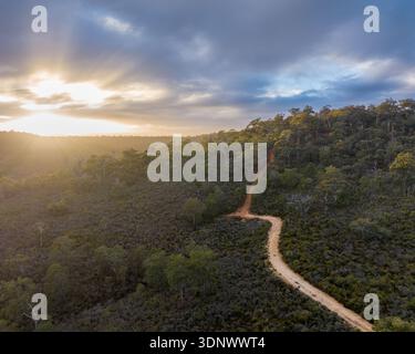 Aerial view of a dirt road cutting through lush green agricultural ...