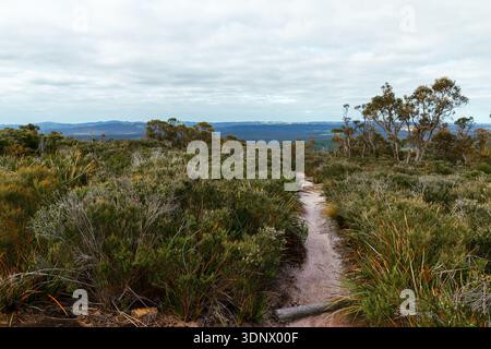 A sandy walking path winds through dense Australian scrub, opening toward distant hills beneath an overcast sky. Stock Photo