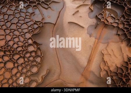 Shapes seen in these eroded sandstone rocks, beautifully formed by water. This natural art decorates the eastern coast of Asturias, highlighting natur Stock Photo