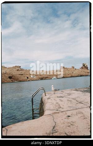 A serene shot of a seagull perched on a weathered stone pier overlooking clear blue waters and rocky cliffs on Menorca Island. The peaceful scene capt Stock Photo