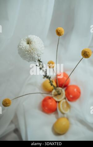 Aesthetic display of a white Chrysanthemum and yellow billy balls arranged with lemons and oranges on a textured white fabric, creating an elegant and Stock Photo
