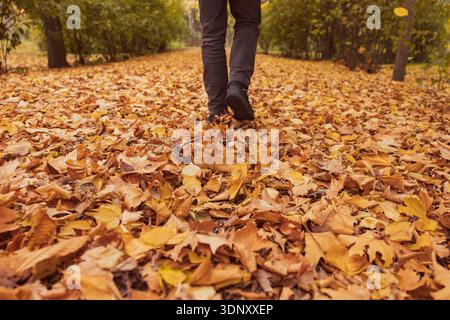 A close-up of boots stepping on a vibrant autumn carpet of dry leaves in shades of brown and yellow. The scene captures the essence of a fall walk in Stock Photo