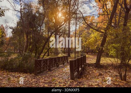 A wooden bridge in an autumn park, bathed in golden sunlight filtering through trees with yellow and orange leaves. The ground is carpeted with dry le Stock Photo