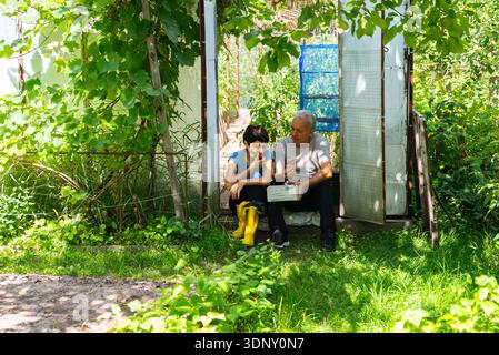 A middle-aged couple sits in a lush greenhouse garden, enjoying fresh tomatoes. They are surrounded by greenery and sunlight, creating a serene and pe Stock Photo