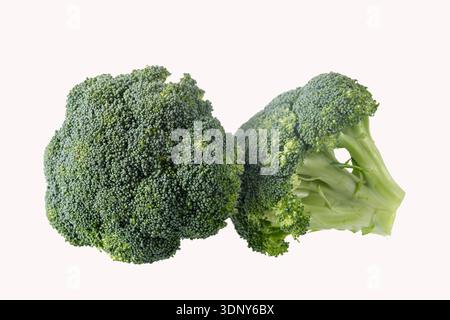 Raw organic broccoli cabbage isolated on white background Stock Photo