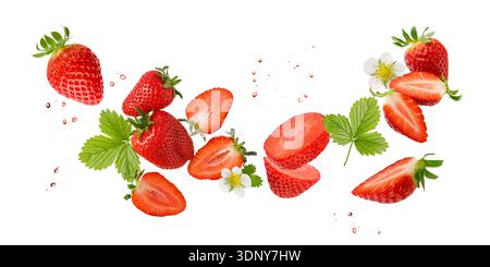 Fresh sweet strawberry berries with flower and leaves flying falling isolated on white background. Summer garden berry. Stock Photo