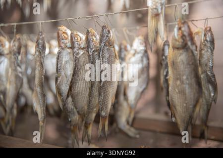 Fresh fish hanging on wire for traditional natural drying process Stock Photo