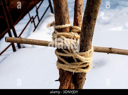 A rope tied around a tree in a knot Stock Photo