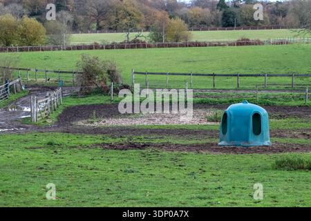 A blue feeder sits in a muddy paddock, surrounded by a fenced field and trees under an overcast sky. Stock Photo