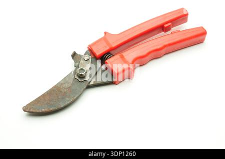 Red scissors for pruning tree branches and bushes on isolated white background Stock Photo