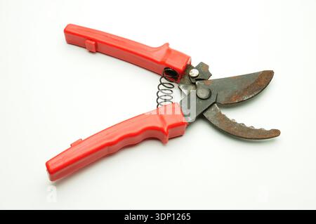 Red scissors for pruning tree branches and bushes on isolated white background Stock Photo