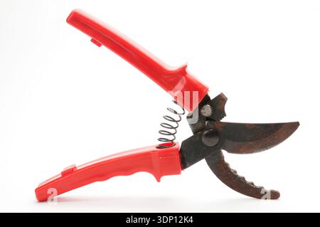 Red scissors for pruning tree branches and bushes on isolated white background Stock Photo