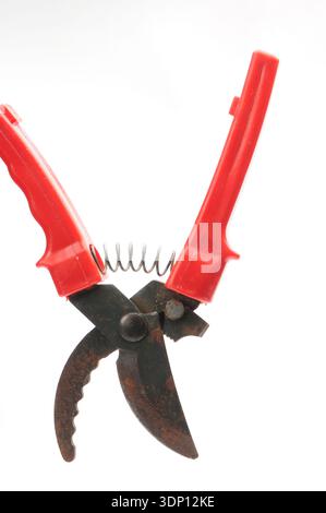 Red scissors for pruning tree branches and bushes on isolated white background Stock Photo