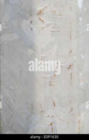 Weathered white painted metal utility pole texture Stock Photo