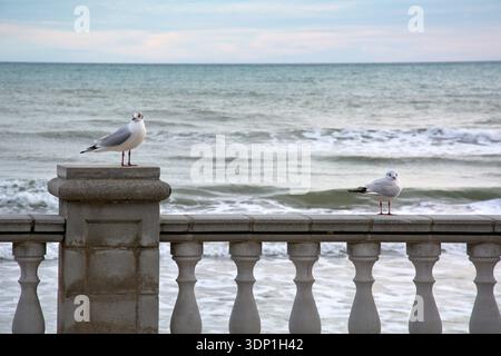 Two seagulls resting on a stone balustrade along the Mediterranean promenade, ocean waves and cloudy sky in the background Stock Photo