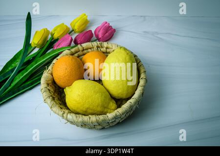 Wicker basket with lemons and oranges on marble background, tulips and green leaves beside, fresh spring still life. Stock Photo