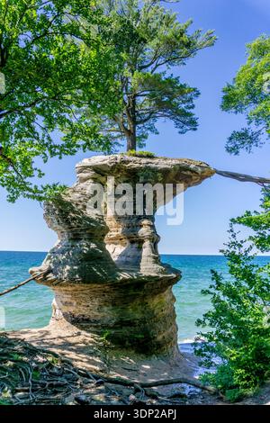 A large rock with a tree growing out of it. The rock is on a cliff overlooking the ocean Stock Photo