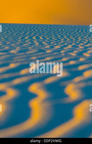 Intricate ripple patterns in golden sand dunes catch the warm light at Algodones Dunes, California. The wind-sculpted textures create a mesmerizing... Stock Photo