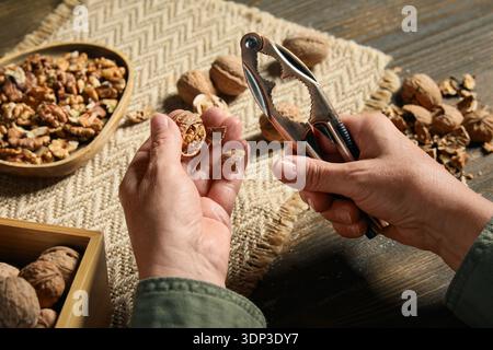 Woman cracking walnuts with nutcracker on wooden table Stock Photo