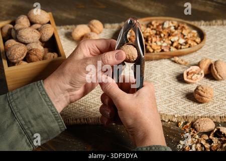 Woman cracking walnuts with nutcracker on wooden table Stock Photo