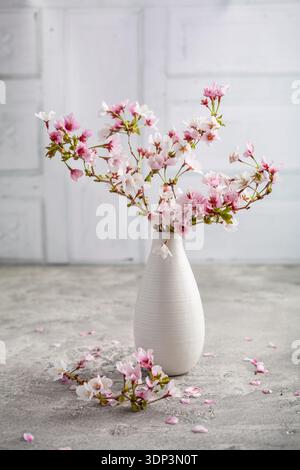 Vase with cherry blossoms on kitchen table, sprintime concept Stock Photo