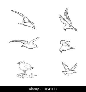 Seagull in flight, black and white sketch. Vector illustration. Seabirds, set of silhouettes, isolated on white background. Stylized sea. Stock Vector