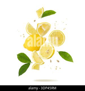 Fresh lemon fruit whole and slices with leaves falling flying isolated on white background. Stock Photo