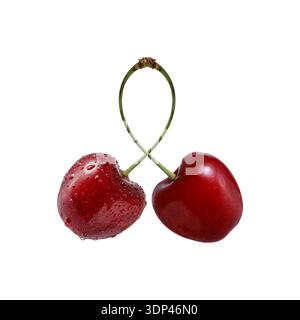 Two juicy red cherry berries with water drops isolated on white background. Stock Photo