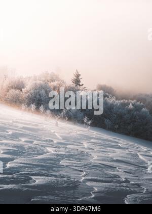 View of frosty trees and a snow-blanketed field shimmer beneath the soft, pale sky in Stosswihr, Grand Est, France. Stock Photo