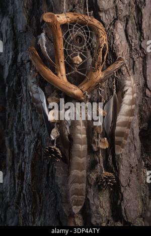 Handmade dreamcatcher made from natural materials, including driftwood, feathers, pine cones, and stones, hanging on the trunk of a tree. Rustic boho- Stock Photo