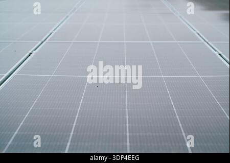 large solar field, expansive renewable energy installation featuring panel rows under cloudy sky Stock Photo