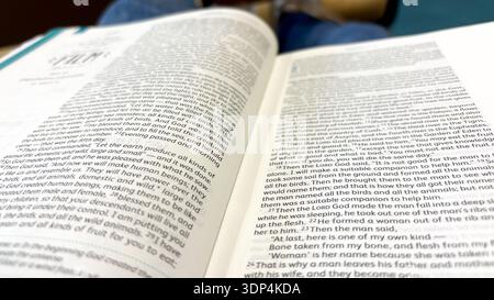 An open bible, a holy Christian book opened up in the book of Genesis. Stock Photo