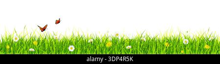 Spring banner with green grass pattern. Realistic meadow panoramic silhouette with daisy and yellow flowers. Easter border with flying butterflies. Re Stock Vector