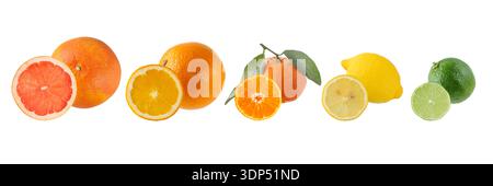 Citrus fruits collection. Set of fresh juicy grapefruit, orange, tangerine, lemon and lime fruits isolated on white background. Fruit banner. Stock Photo