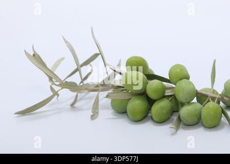green olives and leaves on white background Stock Photo