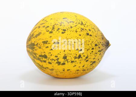 yellow honey melon isolated on white background Stock Photo