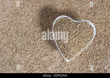quinoa (Chenopodium quinoa) seeds that is grown for its tiny edible seeds. Stock Photo