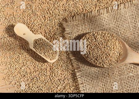 quinoa (Chenopodium quinoa) seeds that is grown for its tiny edible seeds. Stock Photo