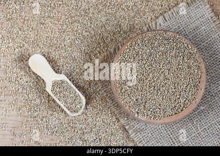 quinoa (Chenopodium quinoa) seeds that is grown for its tiny edible seeds. Stock Photo