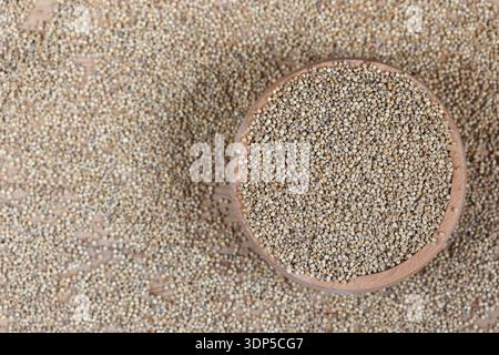 quinoa (Chenopodium quinoa) seeds that is grown for its tiny edible seeds. Stock Photo