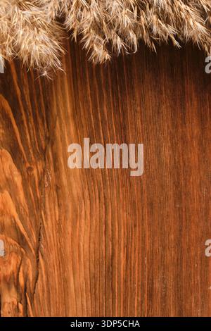 Vertical background featuring fluffy reeds at the top of textured wooden panel. Contrast of soft plant and hard wood Stock Photo