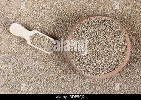 quinoa (Chenopodium quinoa) seeds that is grown for its tiny edible seeds. Stock Photo