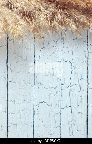 Vertical white cracked paint on old wood planks with dried grass border. Antique shabby chic texture. Stock Photo